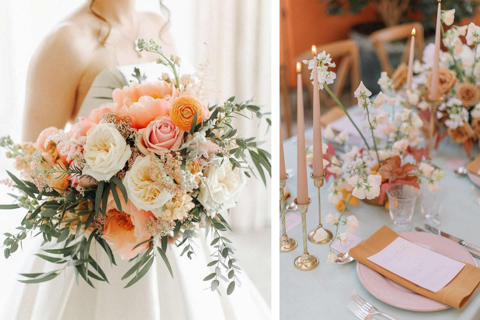 Peach Fuzz Perfection – Pantone Color of the Year 2024